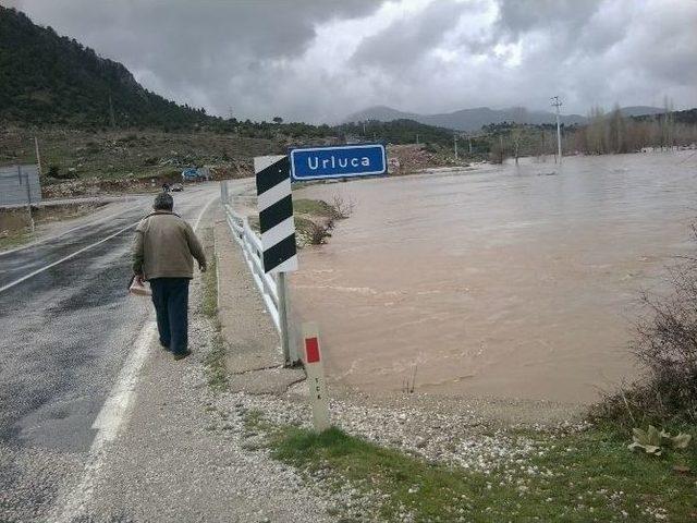 Seydikemer Selle Boğuştu