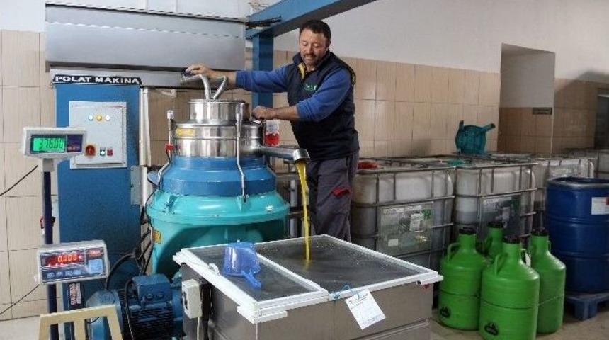 Zeytinyağı Fabrika &Ccedil;ıkış Fiyatı Arttı