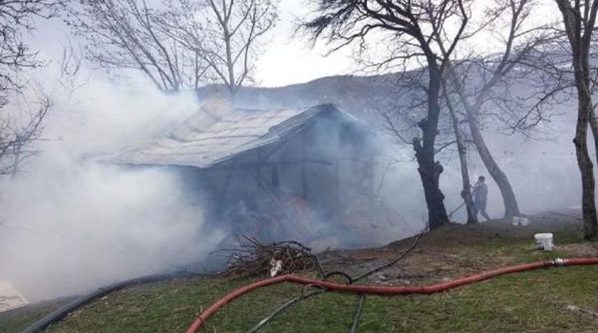 Ordu&rsquo;Da Yangında 15 B&uuml;y&uuml;kbaş Hayvan Telef Oldu