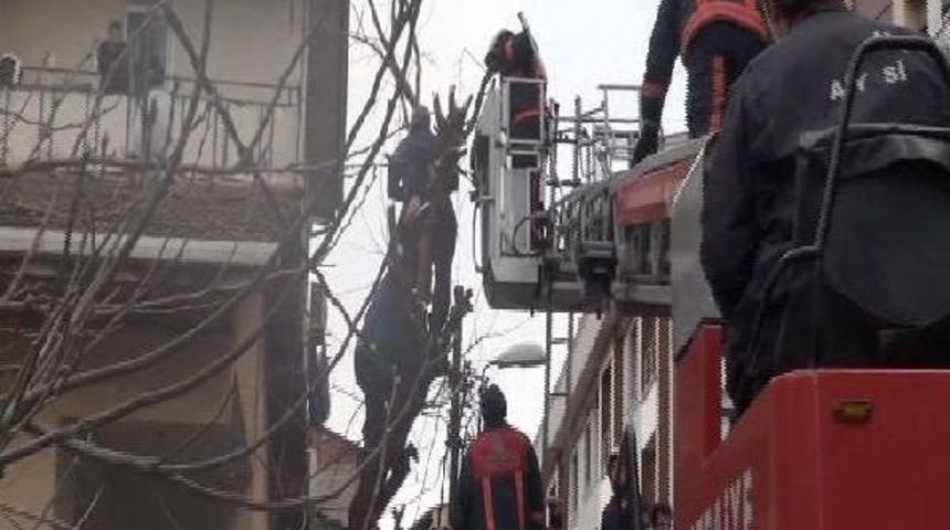 &Ccedil;ıktığı Ağa&ccedil;ta Bayılan Şeker Hastasını Itfaiye Kurtardı