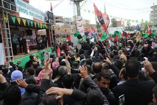 Cizre’de Kutlu Doğum Etkinliği