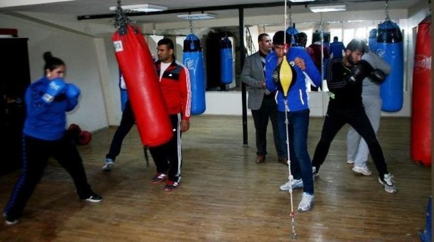 (&ouml;zel Haber) &lsquo;boks&ouml;r Fabrikası&rsquo; Aile Şampiyonluklara Doymuyor