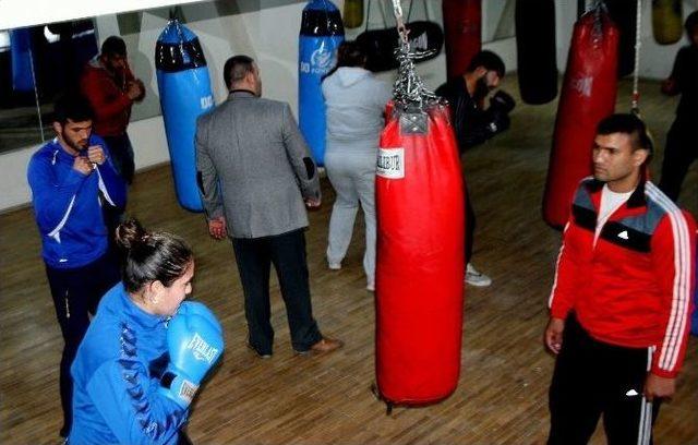 (özel Haber) ‘boksör Fabrikası’ Aile Şampiyonluklara Doymuyor