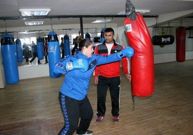 (özel Haber) ‘boksör Fabrikası’ Aile Şampiyonluklara Doymuyor