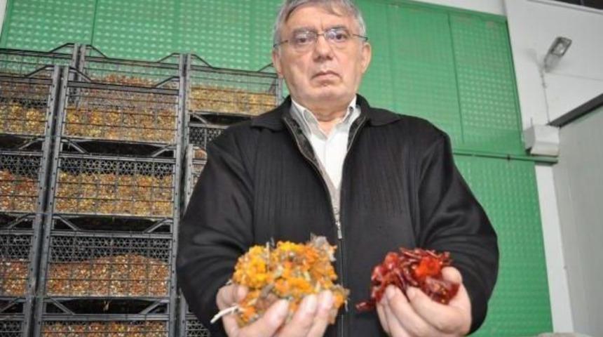 Yumurtanın Sarısı Doğal Yollarla Renklendiriliyor