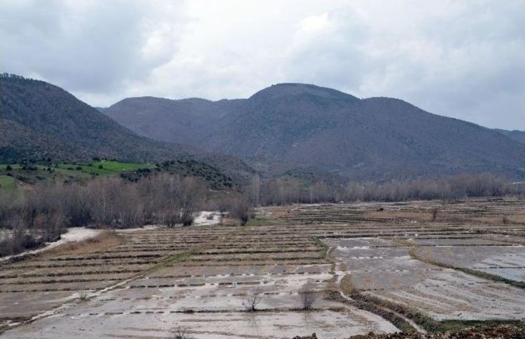 (&ouml;zel Haber) Tosya&rsquo;da &Ccedil;eltik Tarlalarını Sel Bastı