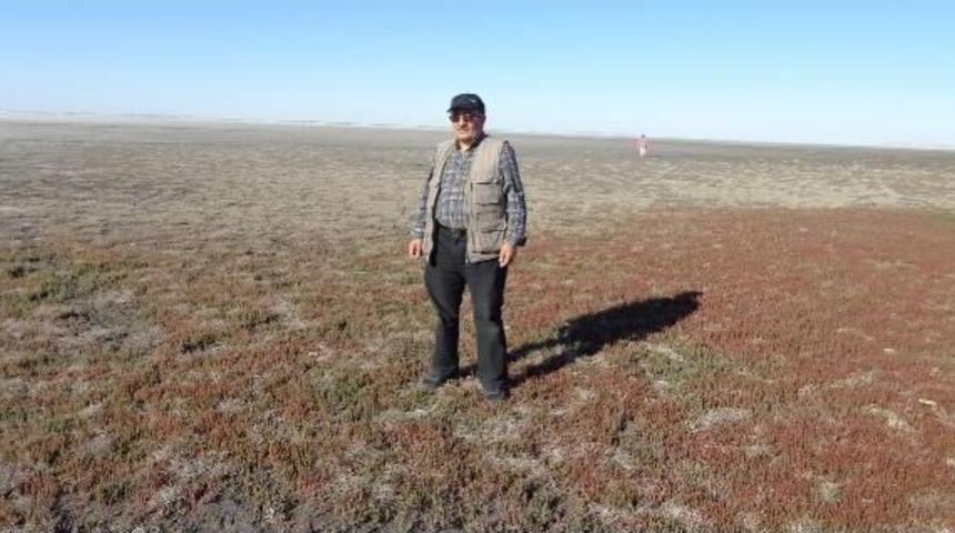 Seyfe G&ouml;l&uuml;'nde Yaban Kuşları I&ccedil;in Telef Uyarısı