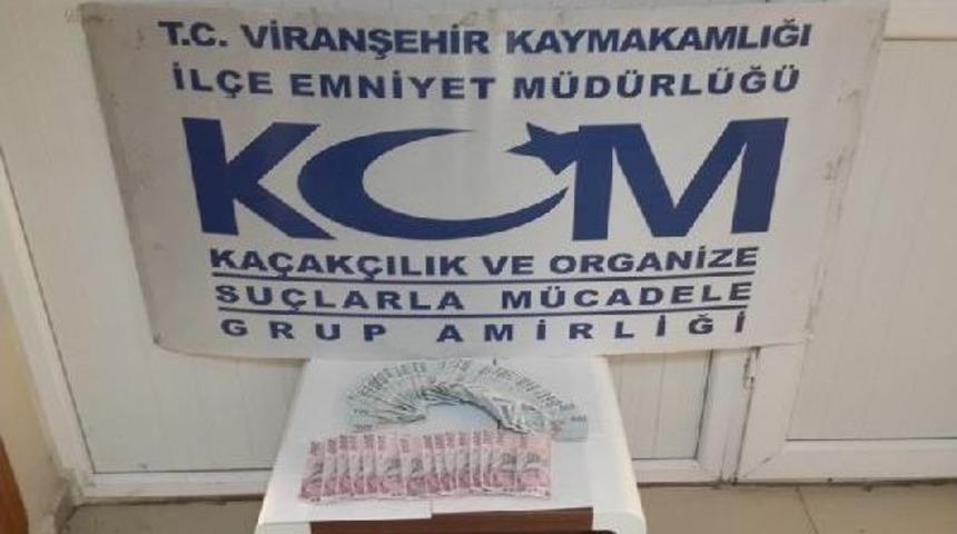 Viranşehir'de Sahte Para Operasyonu: 2 G&ouml;zaltı