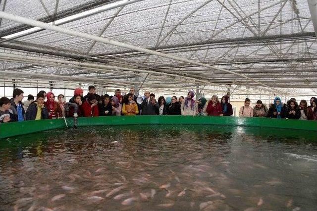 Bilgi Merkezi Öğrencileri Çumra’da