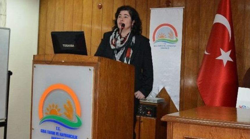 Ordu&rsquo;da Mantarlar Ve Zehirlenmeler Konferansı