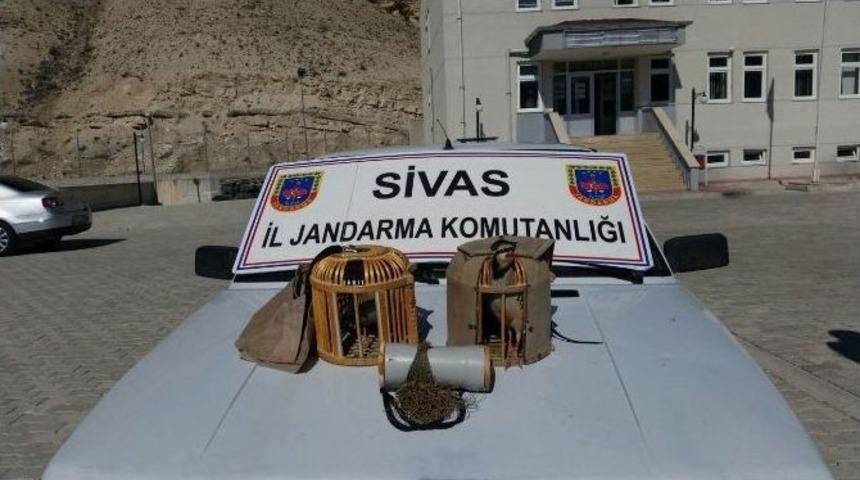 G&uuml;r&uuml;n&rsquo;de Ka&ccedil;ak Avcılar Su&ccedil;&uuml;st&uuml; Yakalandı