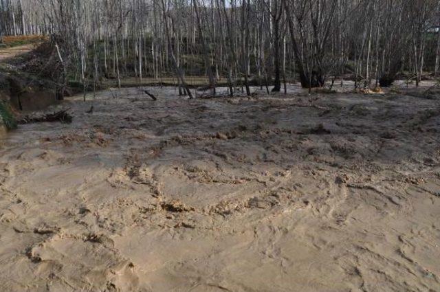 Ayrancı'da Sel Ekili Arazilere Zarar Verdi