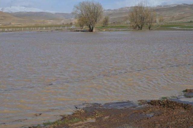 Ayrancı'da Sel Ekili Arazilere Zarar Verdi