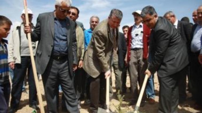 Ereğli&rsquo;de 100 Bin Fidan Toprakla Buluşacak