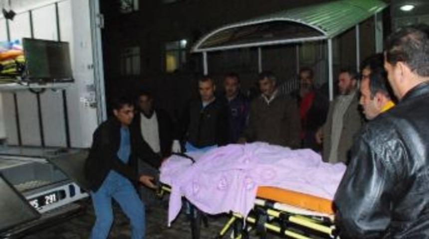 &Uuml;zerine Yıldırım D&uuml;şen &Ccedil;oban Hayatını Kaybetti