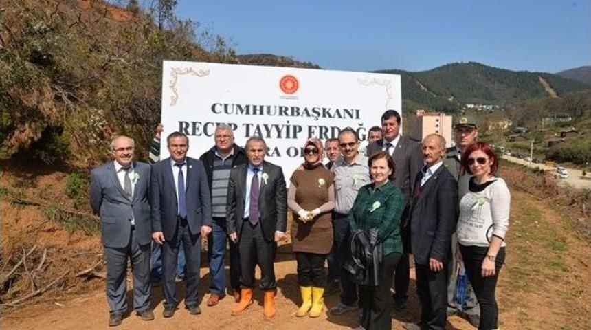 Yalova&rsquo;da Orman Haftasında 18 Bin Fidan Dikildi