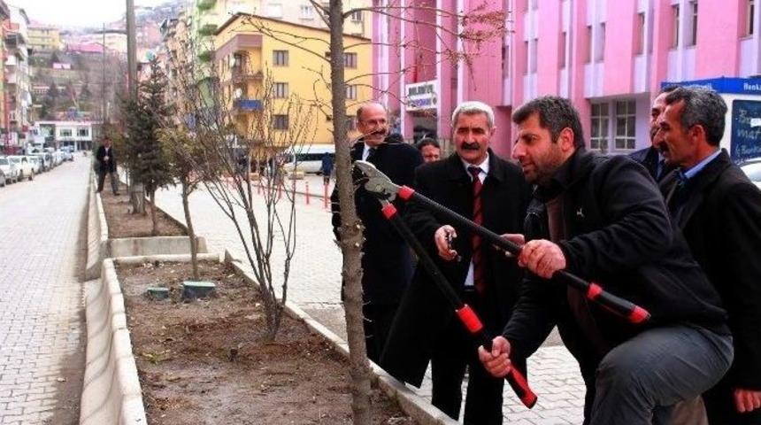 Hakkari Belediyesi&rsquo;nden Ağa&ccedil; Budama &Ccedil;alışması