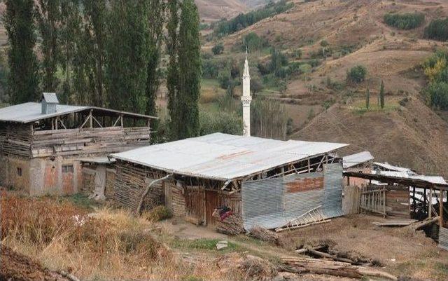 (özel Haber) Bu Köy Elektrik Kesintisinden Etkilenmedi