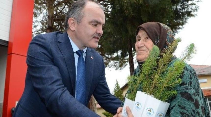 Başkan G&uuml;rlesin Bin Adet Fidan Dağıttı