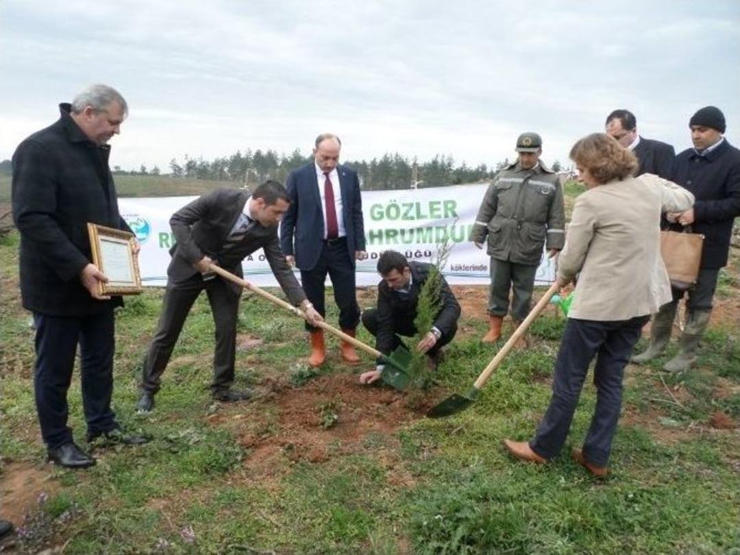 Eski İl Başkanı Şenol Morg&uuml;l İ&ccedil;in Fidan Diktiler