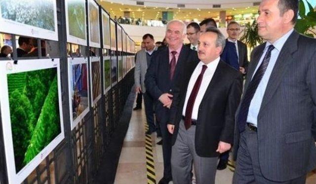Tekirdağ&rsquo;da 6. Tarım Ve İnsan Konulu Fotoğraf Sergisi A&ccedil;ıldı 1