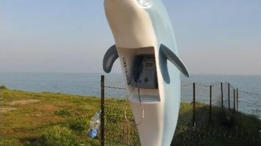 Yunus Balığından Ankes&ouml;r