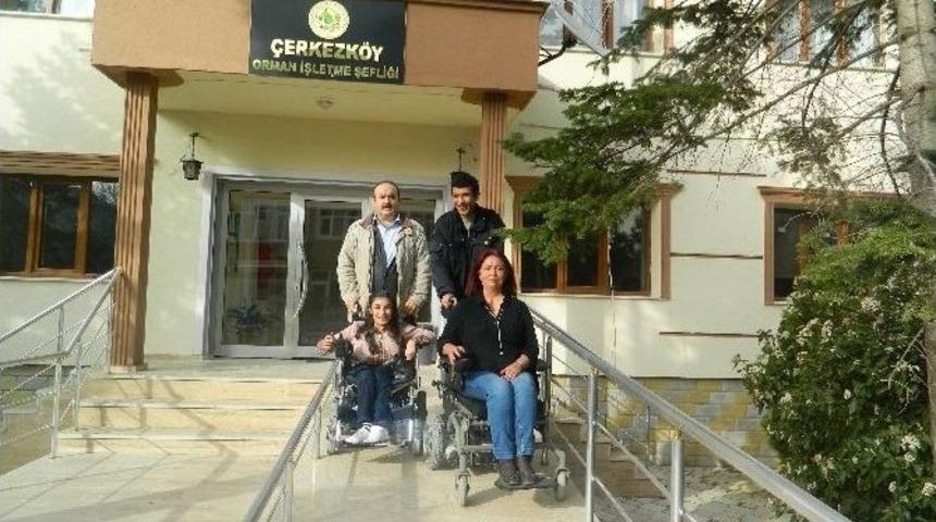 Engelliler Ceviz Ağacı Ormanı Kuracak