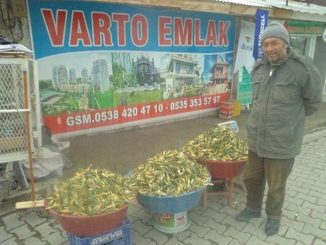 Gülbahar Bitkisi Tezgahlardaki Yerini Aldı 1