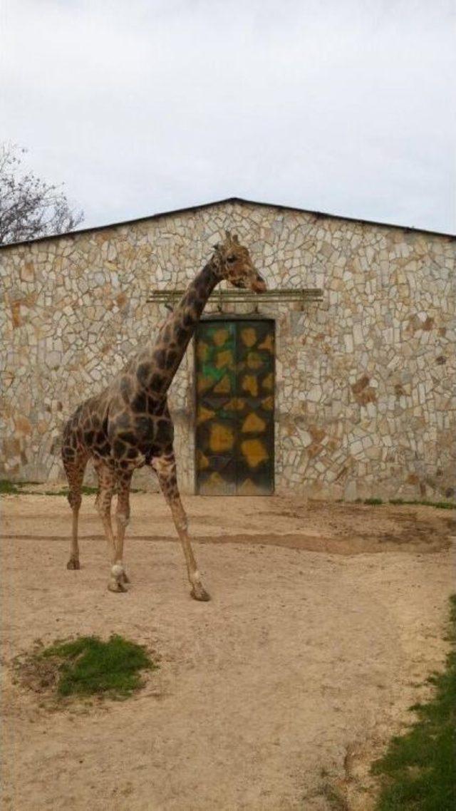 Gaziantep te  akıllı Şehir  Projesi Tanıtıldı 3