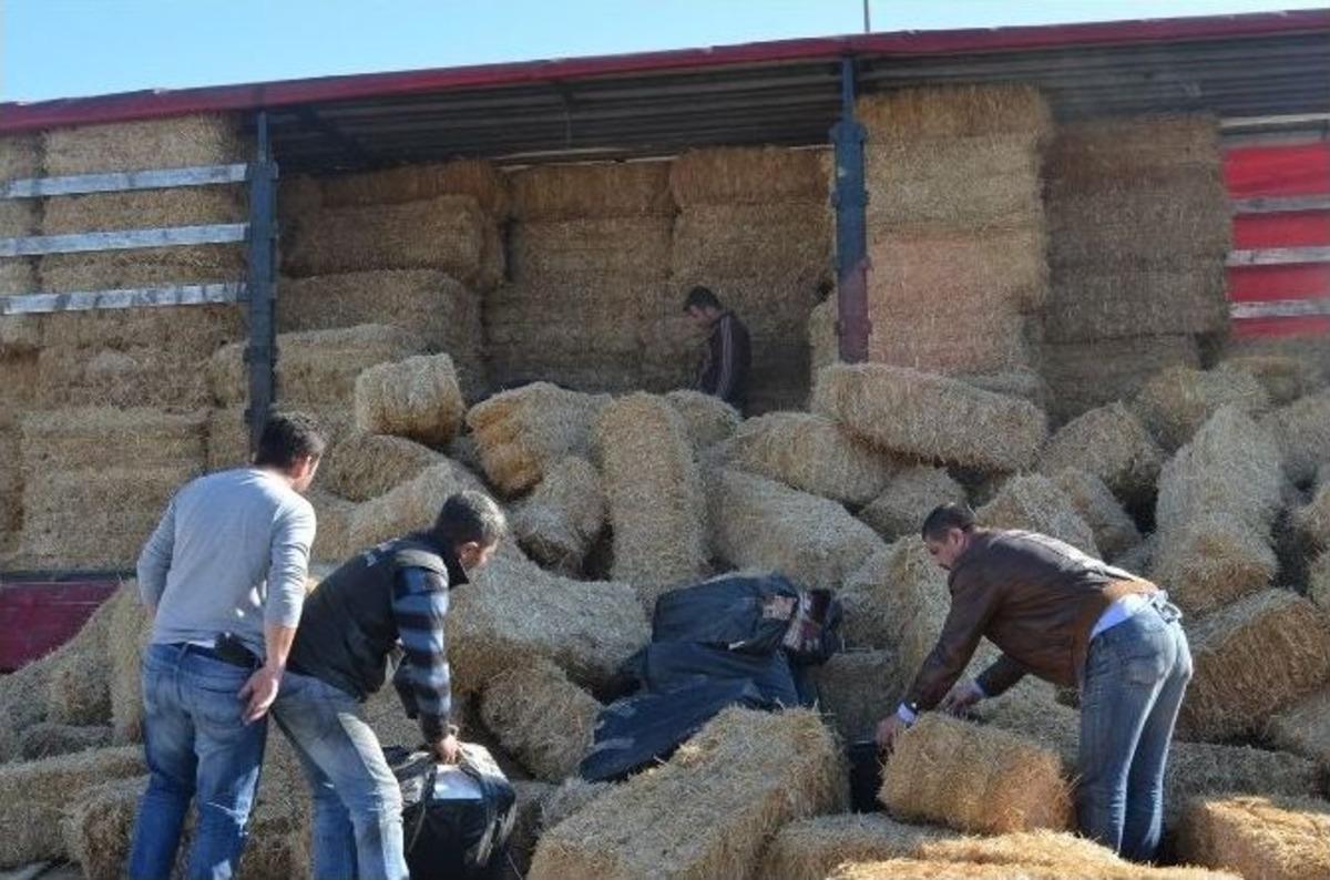 Saman Y&uuml;kl&uuml; Tır&rsquo;da 30 Bin Paket Ka&ccedil;ak Sigara Ele Ge&ccedil;irildi