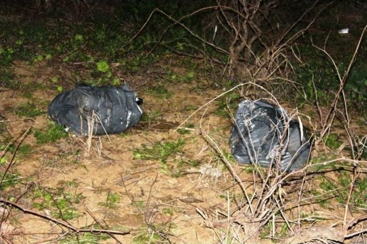 Trafik Kazasında S&uuml;r&uuml;c&uuml;ler Ka&ccedil;tı