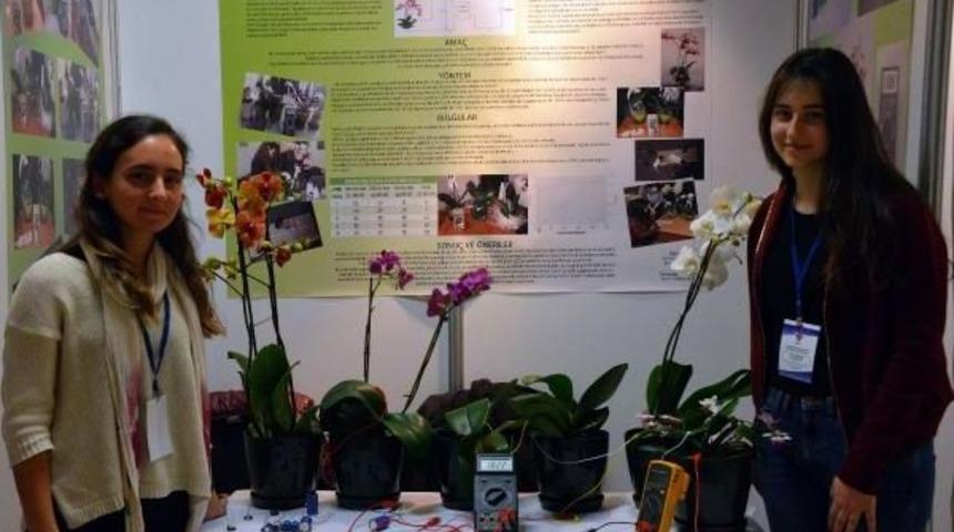 Lise &Ouml;ğrencileri Bitki Yapraklarından Enerji Elde Etti