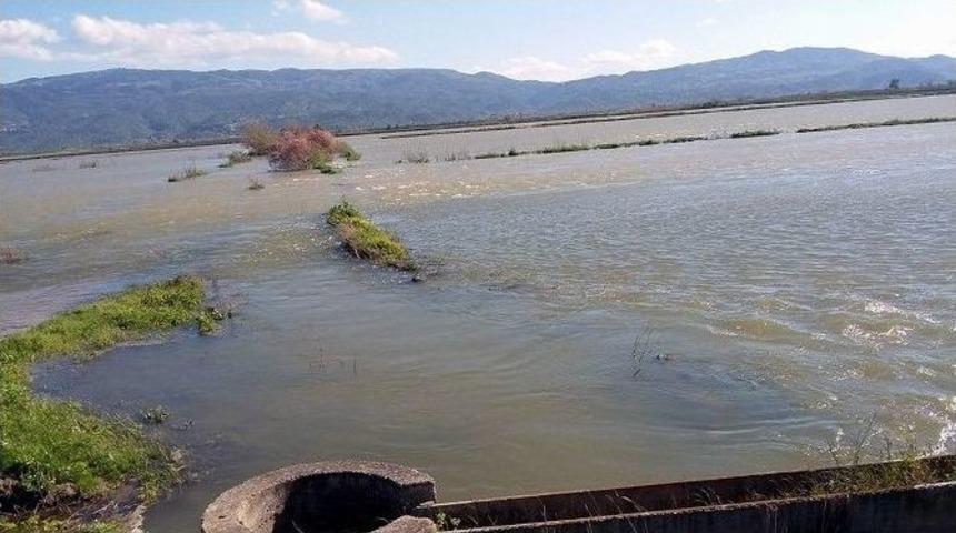 Menderes Y&uuml;kselince &Ccedil;oban Ağılda Mahsur Kaldı