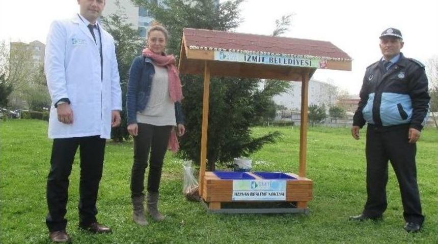 İzmit&rsquo;te Sokak Hayvanlarını Besleme Noktaları Kuruldu