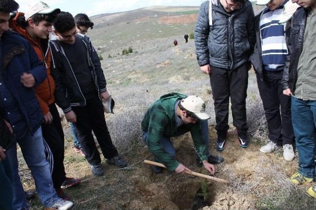 Lise &Ouml;ğrencileri Fidan Dikti