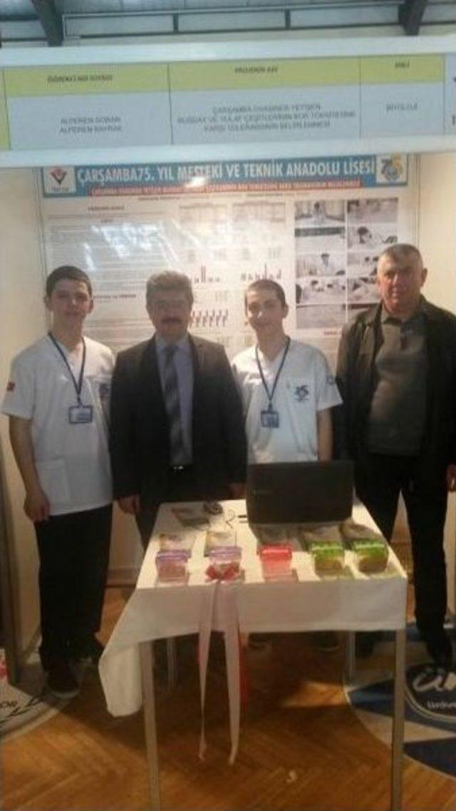 &Ccedil;arşamba&rsquo;dan T&uuml;bitak&rsquo;a 3 Proje 1