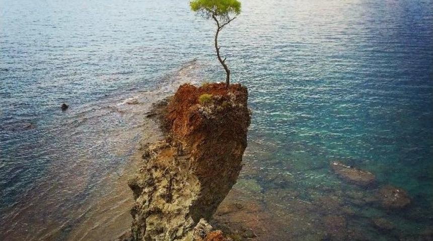 Photoantalya Yarışması Sonu&ccedil;landı