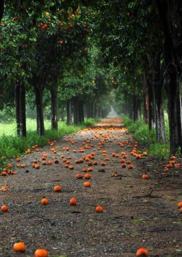 Photoantalya Yarışması Sonuçlandı