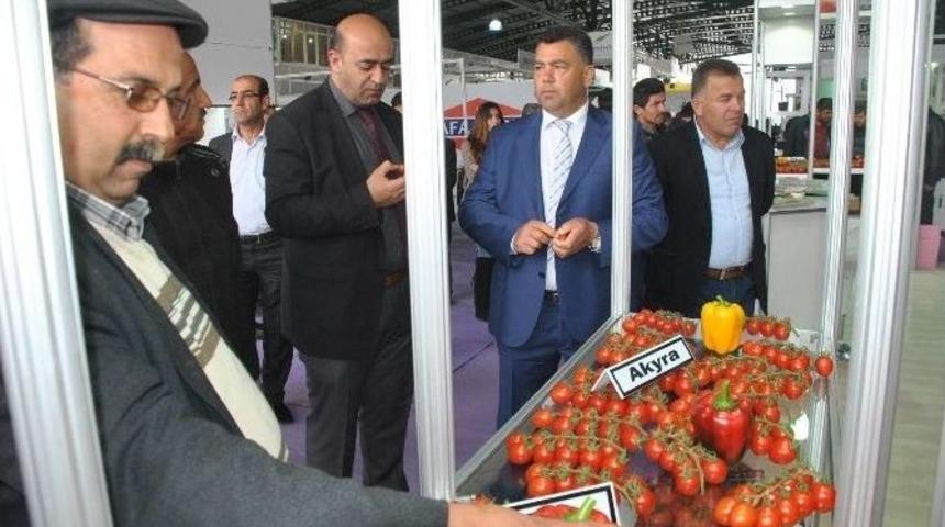 İkinci De-myra Tarım Festivali Demre&rsquo;de Başladı