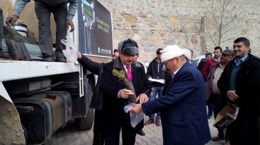 Sarıveliler&rsquo;de Vatandaşlara 3 Bin Fidan Dağıtıldı