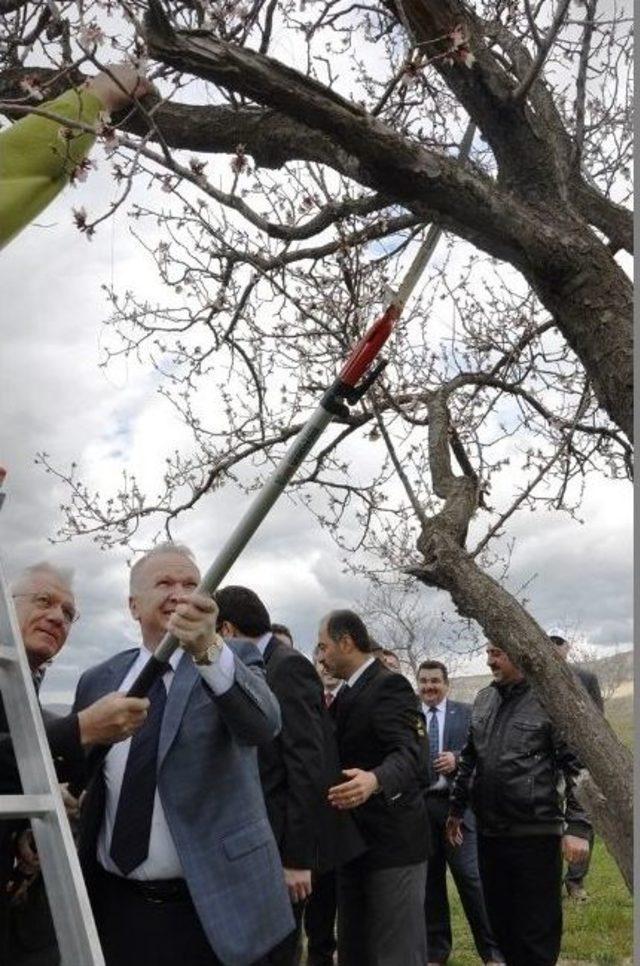 G&ouml;reme&rsquo;de &Ouml;kse Otuna Karşı M&uuml;cadele 1