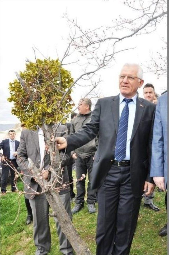 G&ouml;reme&rsquo;de &Ouml;kse Otuna Karşı M&uuml;cadele 2