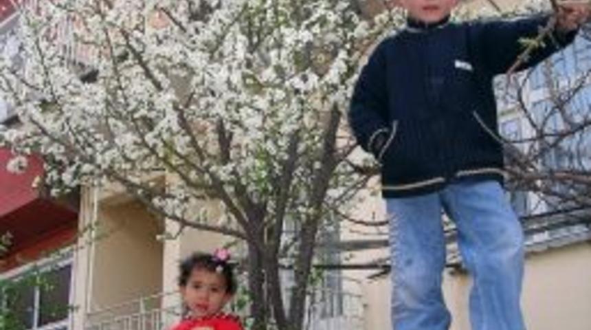 K&uuml;tahya &Ccedil;i&ccedil;ek A&ccedil;tı