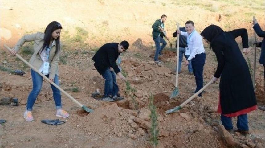 Mardin&rsquo;de Kardeşlik Ormanı Oluşturuldu