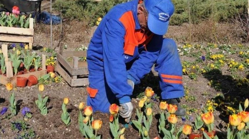 Mamak&rsquo;ta Parklara Bahar Bakımı