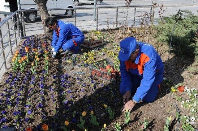 Mamak’ta Parklara Bahar Bakımı