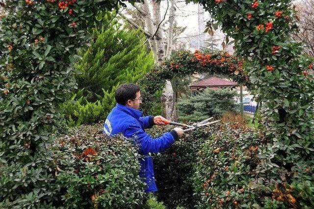 Mamak’ta Parklara Bahar Bakımı