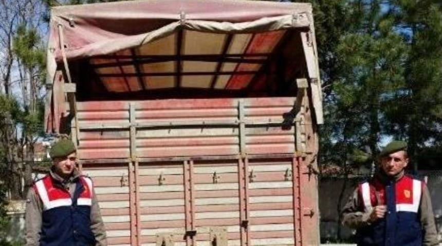 Edirne&rsquo;de 41 Adet K&uuml;pesiz Koyun Ele Ge&ccedil;irildi