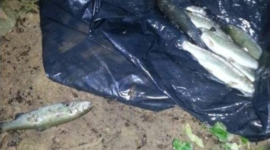 Balık Hırsızları Su&ccedil;&uuml;st&uuml; Yakalandı