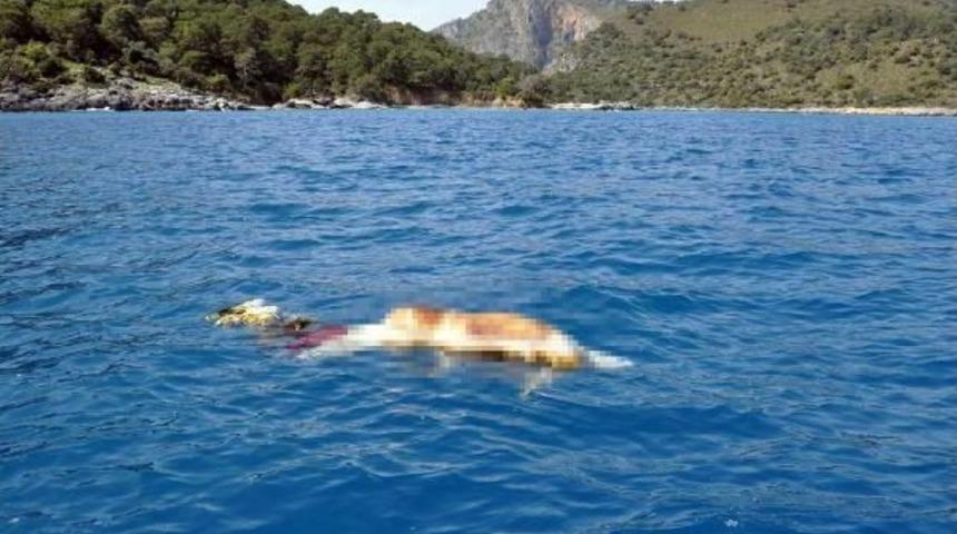 Mersin'de Dereye D&uuml;şt&uuml;, Fethiye'de Cesedi Bulundu
